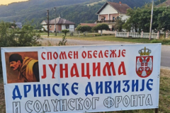 06-drinska