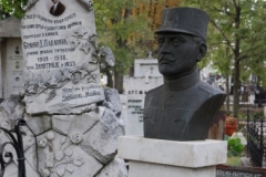 16-drgavrilovic