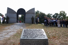 37-drgavrilovic