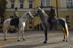 13-kikinda23