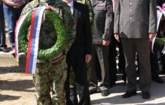 Полагае венаца, припадници ВС