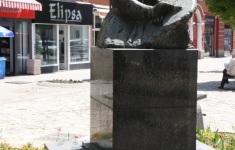 IMG_0637, 11