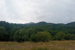 02-stojko24