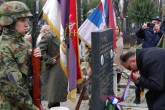 11-vojvodavuk21