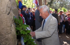 009-drinska